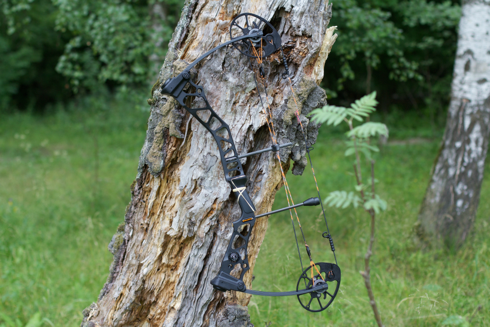 Mission Ballistic 2.0 - обзор новинки блочных луков 2016 года